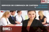 SERVICIO DE COBRANZA DE CARTERA EN MORA … · Lic. en Adm. de Empresas con Maestría en Negocios Internacionales (MIB) con especialidad ... herramientas y metodología para la recuperación