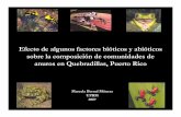 Efecto de algunos factores bióticos y abióticos sobre la ...academic.uprm.edu/~jchinea/cursos/comunidades/Marcela.pdf · sapo concho ( Bufo lemur), ... presentan perturbación (en