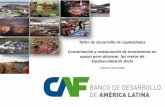 Taller de desarrollo de capacidades Conservación y ... · Oficinas de País en Asunción, Bogotá, ... • Bolivia • Colombia • ... prácticas de economía verde y del desempeño