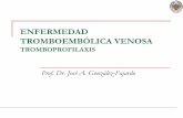 ENFERMEDAD TROMBOEMBÓLICA VENOSA · ETEV Concepto La enfermedad tromboembólica venosa (ETEV) es un problema médico importante que . comprende la trombosis venosa profunda (TVP)