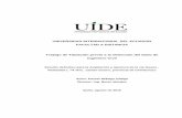 UNIVERSIDAD INTERNACIONAL DEL ECUADOR …repositorio.uide.edu.ec/bitstream/37000/2195/1/T-UIDE-1244.pdf · AUTORIA DEL TRABAJO DE INVESTIGACION . Yo, Fausto Gustavo Hidalgo Zúñiga,