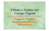 Células y Tejidos del Cuerpo Vegetal Tema 3: Tejidos ... PDF/Tema 3b_Mecánicos… · Morus y Beta. Colénquima anular. ... En testa de las semillas. ... S.T. de una hoja de Nymphaea
