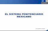 EL SISTEMA PENITENCIARIO MEXICANO - … · Las funciones esenciales de la administración penitenciaria son: ... El uso de la infraestructura como recurso del proceso de reinserción
