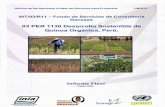 03 PER 1130 Desarrollo Sostenible de Quinua …quinua.pe/wp-content/uploads/2016/02/BVCI0000139_1.pdf · Dirección General de Promoción Agraria (DGPA) Pasaje Zela 150,9. piso, Lima
