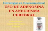 Estrategias en Neuroanestesia USO DE ADENOSINA … · Estrategias en Neuroanestesia: USO DE ADENOSINA EN ANEURISMA CEREBRAL Carlos Navarro ANESTESIOLOGIA HNERM