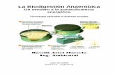 La Biodigestión Anaeróbica - ninovelli.files.wordpress.com · trabajo y optimizaciones a adoptar (% degradación, calidad o cantidad de biogás) para lograr un eficaz uso de biodigestores.