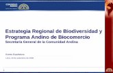 Estrategia Regional de Biodiversidad y Programa Andino de ... · los beneficios Tareas - Plan de Acción - Presentación anual de informe a los Cancilleres - Cartera de Proyectos