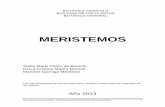 MERISTEMOS - s02540cbd892dec62.jimcontent.com · tejidos meristemáticos, con capacidad permanente de división mitótica, y los tejidos adultos , dedicados a funciones especiales,
