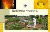 Introducción a la apicultura - trofar.cltrofar.cl/doctos/ricardo_saavedra/Etologia_Botanica.pdf · que los rendimientos de la miel producida por A. mellifera, así como el tipo y