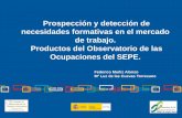 Prospección y detección de necesidades formativas en el ...vijornadasobsocu.ujaen.es/files/documents/comunicaciones/Muniz... · el epígrafe 2 de la Estrategia Española de Activación