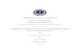 UNIVERSIDAD NACIONAL DE CHIMBORAZO …dspace.unach.edu.ec/...EC-ING-CIVIL-2017-0038.pdf · CARRERA DE INGENIERÍA CIVIL Proyecto de Investigación previo a la obtención del título
