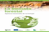 La biomasa forestal - agenex.net · trabajadores agrarios que se encuentran involucrados en la cadena de valor de la biomasa. El proyecto tiene como objetivo la formación específica