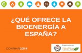¿QUÉ OFRECE LA BIOENERGÍA A ESPAÑA? - … · comercialización de la biomasa en España. ... Suministro de energía primaria en el mundo en 2011: 13.113 Mtep . Suministro de energía
