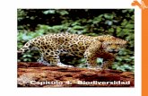 Capítulo 4. Biodiversidad - congreso.gob.pe · sólo el número de hábitats o ecorregiones, México es el país más diverso de la región (Dinerstein et ... en la diversidad de