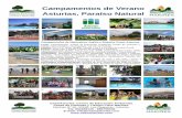 Asturias, Paraíso Natural - Centro Asturiano de ... · PDF fileInterpretación del Paisaje, Problemática Ambiental, Residuos y Reciclaje, Juegos y Dinámicas de Educación Ambiental,