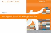 Gestor Web - AETR — Asociación Española de …aetr.net/wp-content/uploads/2016/03/ELSEVIER-AETR-LIBROS.pdf · Libro de referencia para la formación de los estudiantes del ciclo