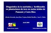 Diag. Fert. Teca Suelos Acidos - nla.ipni.netnla.ipni.net/ipniweb/region/nla.nsf/0... · Variables de suelo y silviculturalessilviculturales que que afectan el crecimiento de los