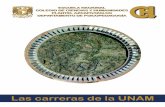 Las carreras de la UNAM - cchazc.unam.mx · • Diseño Industrial 14 • Física ... • El diseño y la organización de diversos proyectos para la creación de nuevos procedimien-