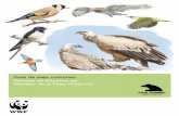 Guía de aves comunes Refugio de Rapaces de Montejo de …awsassets.wwf.es/downloads/osmedio_rapacesguiaaves.pdf · Publicado en diciembre de 2008 por WWF España (Madrid, ... Alcaudón