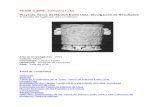 Proyecto Vasos de Mármol Estilo Ulúa: Divulgación de ... · Investigación del Clásico Tardío en el Valle Inferior del Ulúa, Honduras. El Estilo Mármol de Ulúa. Cronología