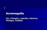 Acromegalia - Cátedra de Endocrinología y Metabolismo · con Enalapril y Atenolol. - DM2 en tratamiento higiénico dietético con buen control metabólico - Dislipemia en tratamiento
