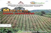 MINISTERIO DE AGRICULTURA Y DESARROLLO …bibliotecadigital.agronet.gov.co/bitstream/11348/3827/1/029.pdf · La oferta de maíz ha disminuido en Colombia, de tal forma que hoyes el