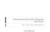 PROPAGACION POR CANALES MOVILES - Pgina Principal de ... PROPAGACION POR CAN  complejidad, Tiempo