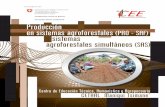 Producción en sistemas agroforestales y sistemas ...formaciontecnicabolivia.org/webdocs/publicaciones/2017/AGROFORE... · Principios de sistemas agroforestales 15 1.1. Definición