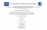 LV CONGRESO ARGENTINO DE ANATOMÍA - …€¦ · Anatomía funcional de la dentadura del antílope negro, antílope cervicapra (Artiodactyla Bovidae) Fascias Cervicales y Cirugía.