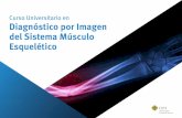 Curso Universitario en Diagnóstico por Imagen del Sistema Músculo Esquelético · 2017-07-06 · Imagen del Sistema Músculo Esquelético Modalidad ... 6 ECTS Horas lectivas: 150