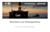 Petróleo y la Petroquímica - …educommons.anahuac.mx:8080/eduCommons/ingenieria-quimica/petrol… · refinación del petróleo crudo (D estilación crudo, Reformado de nafta, Hidrocraqueo,