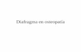 Diafragma en osteopatía - nutricionyosteopatia.comnutricionyosteopatia.com/sites/default/files/5-diafragma.pdf · • 1 Trazo bilateral desde D12 hasta el occipital • 2 Trazo bilateral