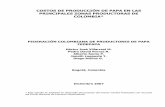 COSTOS DE PRODUCCIÓN DE PAPA EN LAS … - Documentos... · costos de producciÓn de papa en las principales zonas productoras de colombia* federaciÓn colombiana de productores de