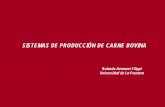 SISTEMAS DE PRODUCCIÓN DE CARNE BOVINA - …praderasypasturas.com/rolando/01.-Catedras/02... · Sistemas de Producción üEntender las partes involucradas en un determinado sistema