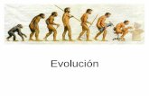 Evolución - Liceo Sagrado Corazón de Copiapó€¦ · de los continentes) y las diferencias entre especies. ... Lamarck (1744-1829) Todas las especies están ... Armonización de