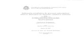 Inferencia estadística de procesos estocásticos · PDF filePONTIFICIA UNIVERSIDAD CATÓLICA DE CHILE FACULTAD DE MATEMÁTICAS Inferencia estadística de procesos estocásticos clásicos