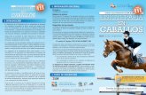 2011 TripticoCaballos 3 - Inicio · 15 ABRIL 9.00 a 14.00 Introducción a la ﬁ sioterapia equina. Anatomía aplicada del caballo y comparada humana-equina. • Aprender cómo aplicar