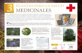 3 MEDICINALES PLANTAS PARA LA SALUD - … · L as plantas medicinales son aquellas que producen diferentes compuestos capaces de interaccionar con nuestro organismo y provocar …