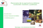 PANORAMA DE LA AGRICULTURA CHILENA … · Panorama de la agricultura chilena: evolución reciente y políticas Santiago, 4 de diciembre de 2006 Reinaldo Ruiz Director Nacional de