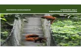 REPORTE ECOLOGICO FEBRERO 2017 INKATERRA … · mediante el cultivo de los mismos; durante el mes de diciembre y enero se inició con ... Sacha Culantro (Eryngium foetidum), se eligió