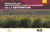 manual quinua final - CARE Perú · Introducción Con la finalidad de plasmar en un documento técnico las expe-riencias de la producción de quinua, realizados por CARE-PERÚ y la