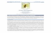 CLASE I Orden Dermaptera - sea-entomologia.orgsea-entomologia.org/IDE@/revista_42.pdf · Son insectos de cuerpo alargado, ligeramente aplanado, de tamaño mediano a peque- ño, de