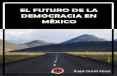 EL FUTURO DE LA DEMOCRACIA EN MÉXICO - … · Entre otros aspectos importantes del sistema democrático en México, es que busca ... V. PERSPECTIVA DE LA DEMOCRACIA EN MÉXICO
