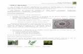 TEMA 8: HELECHOS - cursobotanica.files.wordpress.com · TALLO VASCULARIZADO: presentan verdaderos haces vasculares, llamados xilema y floema, ... V y de herbívoros, lo que , especie