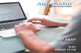 Desarrollador SAP ABAP - agorastur.esagorastur.es/pdf/205.pdf · Desarrollador SAP ABAP En este curso se aprenderá a utilizar las herramientas de de- ... ABAP DETALLES · Controles