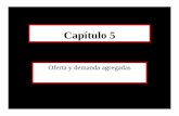 Capítulo 5 - Correo electrónico para académicos y ...ciep.itam.mx/~msegui/Cap5.pdf · n La clave de la relación de demanda agregada entre la producción y los precios ... depende