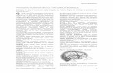 TOPOGRAFÍA CRANEOENCEFÁLICA Y ANATOMÍA DE … · Proyeccionde’los’hemisferios’cerebrales’ ... Microsoft Word - TOPOGRAFÍA CRANEOENCEFÁLICA Y ANATOMÍA DE SUPERFICIE.doc