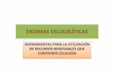 Enzimas celulolíticas Herramientas para la utilización … · enzimas celulolÍticasenzimascelulolÍticas herramientas para la utilizaciÓn de recursos renovables que contienen