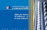 División Cabos y CuerdasCuerdas - indeli.cl · También DSR produce los Cables de Acero Inoxidables: Powerflex. INDUSTRIAL DE LIMACHE LTDA., distribuye para Chile las siguientes
