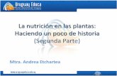 La nutrición en las plantas Haciendo un poco de historia · La nutrición en las plantas: Haciendo un poco de historia (Segunda Parte) Mtra. Andrea Etchartea